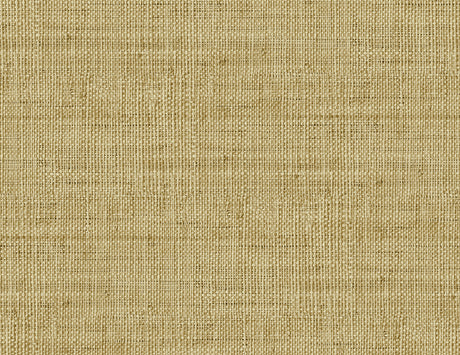 Seabrook Designs RA40315 Wild Bind Wallpaper