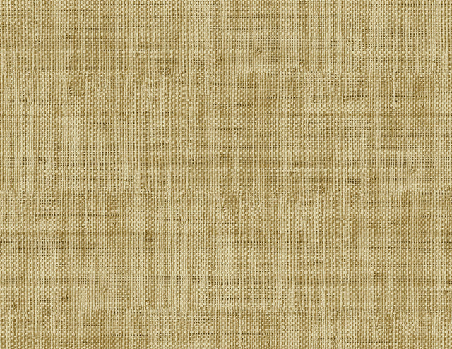 Seabrook Designs RA40315 Wild Bind Wallpaper