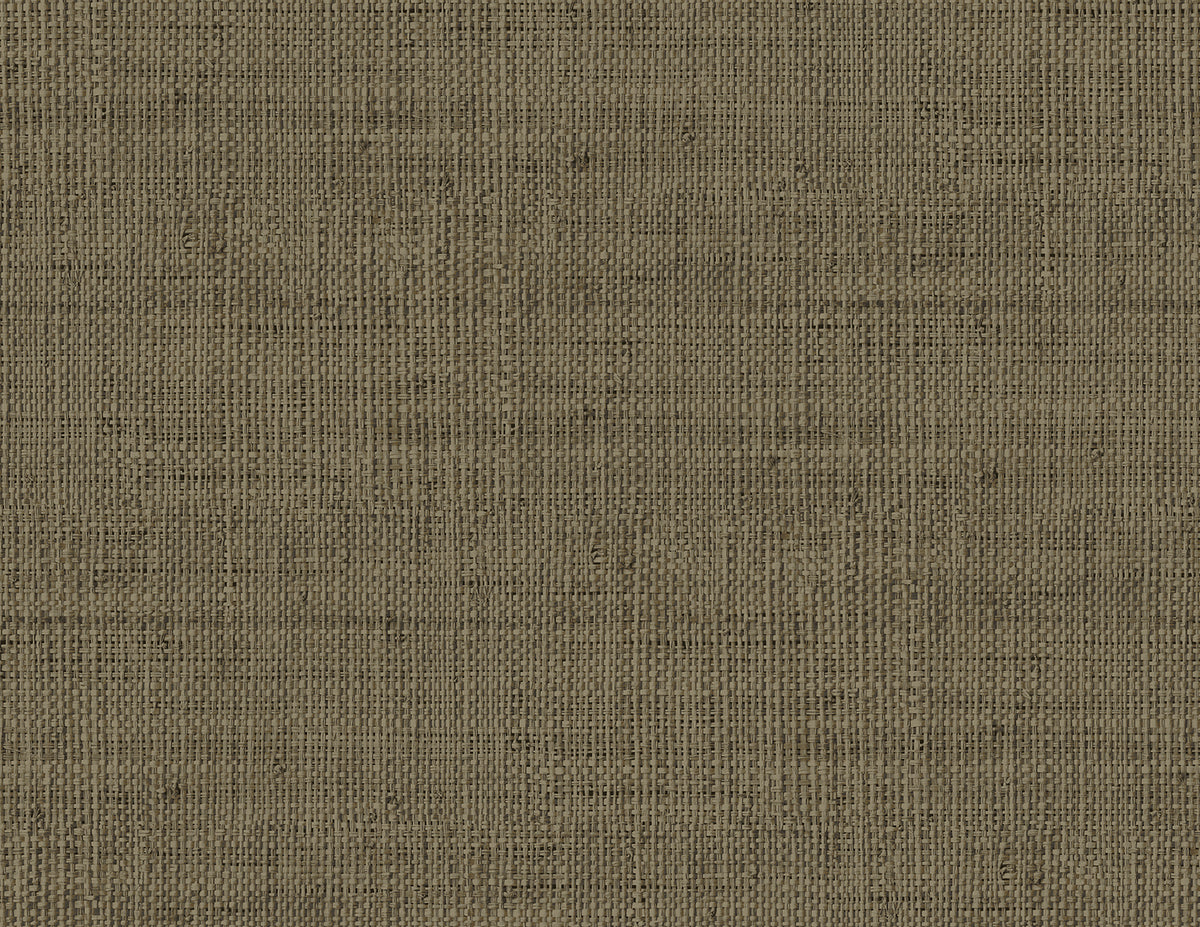 Seabrook Designs RA40316 Wild Bind Wallpaper