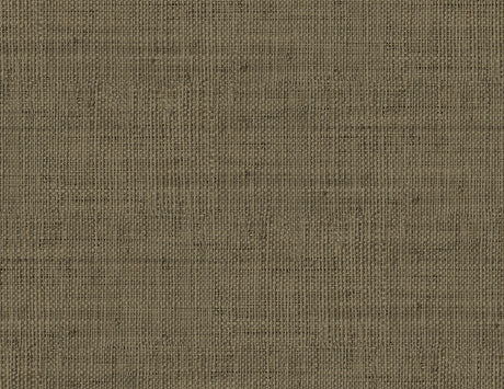 Seabrook Designs RA40316 Wild Bind Wallpaper