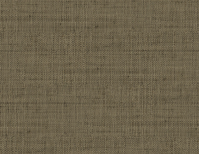 Seabrook Designs RA40316 Wild Bind Wallpaper