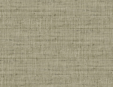 Seabrook Designs RA40317 Wild Bind Wallpaper