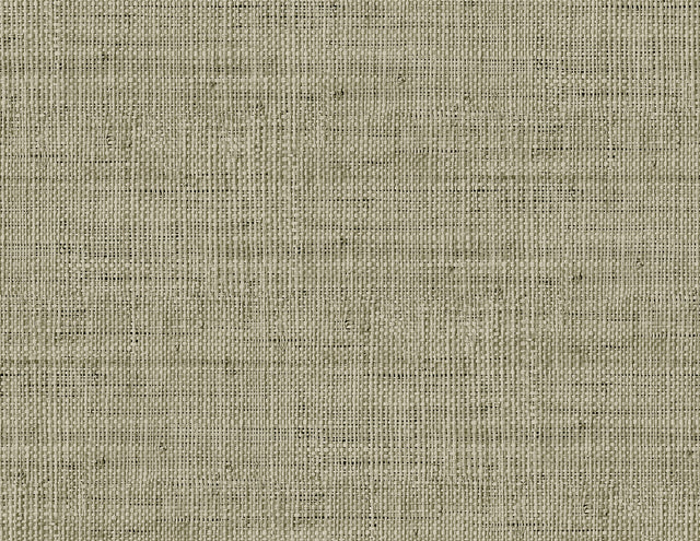 Seabrook Designs RA40317 Wild Bind Wallpaper