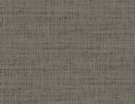 Seabrook Designs RA40319 Wild Bind Wallpaper
