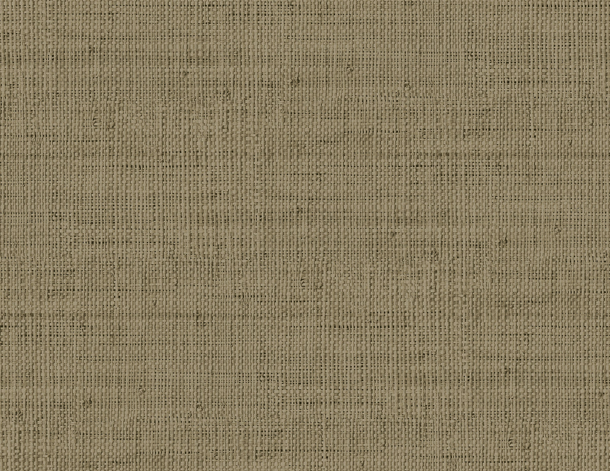 Seabrook Designs RA40350 Wild Bind Wallpaper