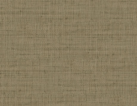 Seabrook Designs RA40350 Wild Bind Wallpaper