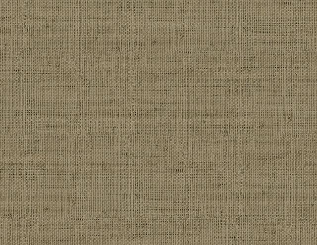 Seabrook Designs RA40350 Wild Bind Wallpaper