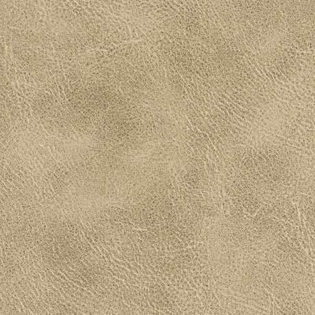STOUT RADN-1 RADNOR 1 TOFFEE Fabric - Eades Wallpaper & Fabric