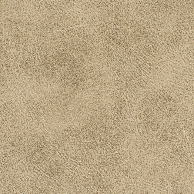 STOUT RADN-1 RADNOR 1 TOFFEE Fabric - Eades Wallpaper & Fabric