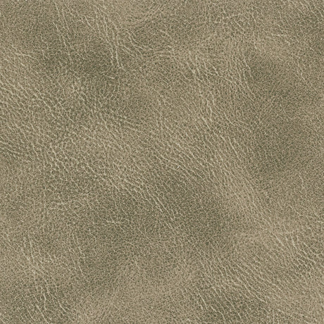 STOUT RADN-3 RADNOR 3 FLINT Fabric - Eades Wallpaper & Fabric