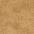 STOUT RADN-4 RADNOR 4 ACORN Fabric - Eades Wallpaper & Fabric