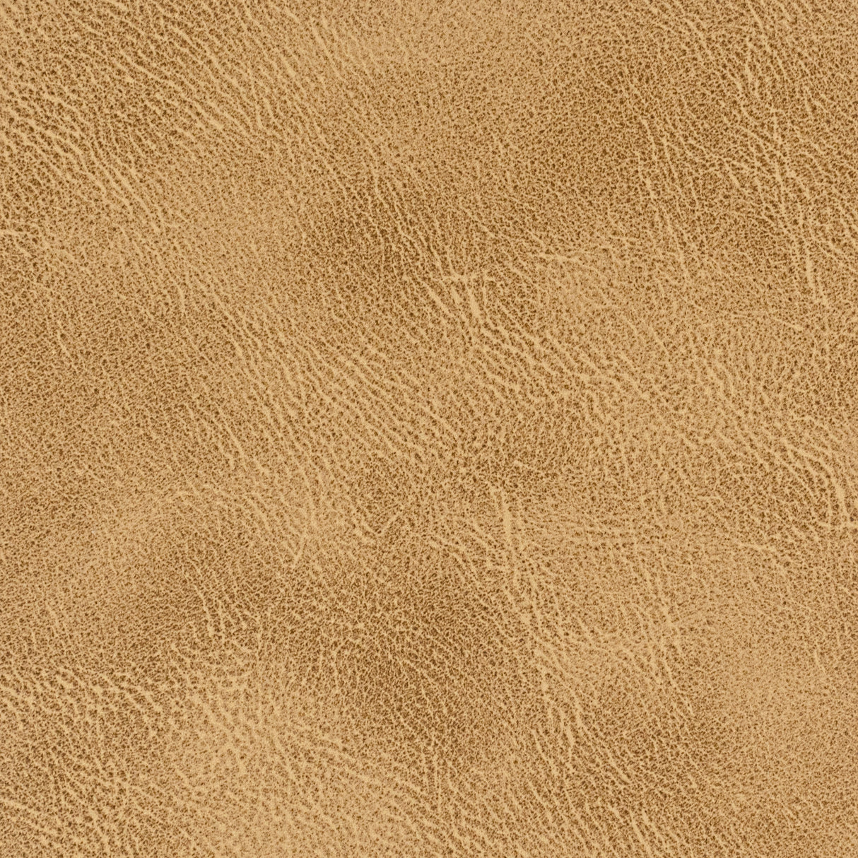 STOUT RADN-4 RADNOR 4 ACORN Fabric - Eades Wallpaper & Fabric