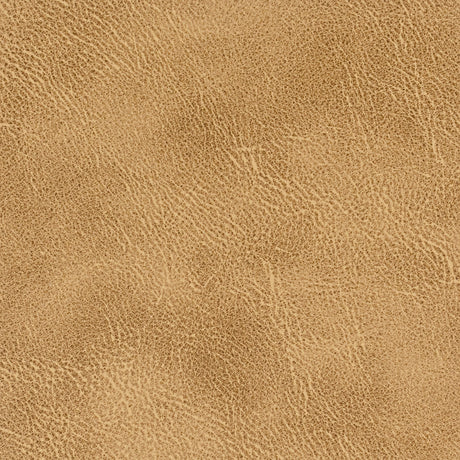 STOUT RADN-4 RADNOR 4 ACORN Fabric - Eades Wallpaper & Fabric