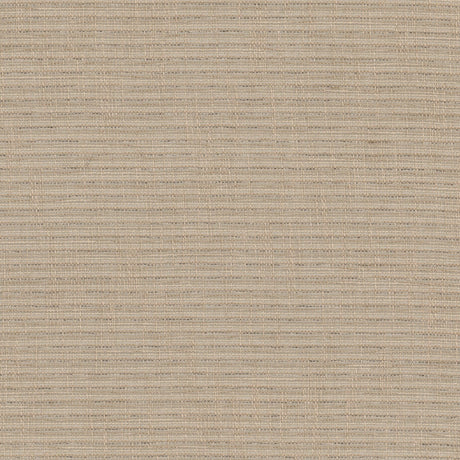 Eade's RALP-1-sample DRIFTWOOD