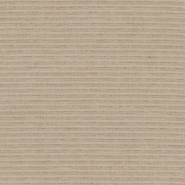 Eade's RALP-1-sample DRIFTWOOD