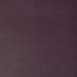 KRAVET CONTRACT RAMBLER.10.0 RAMBLER AUBERGINE Fabric - Eade's Wallpaper