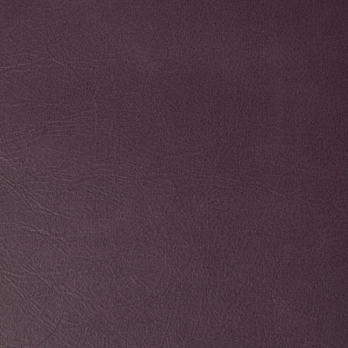 KRAVET CONTRACT RAMBLER.10.0 RAMBLER AUBERGINE Fabric - Eade's Wallpaper
