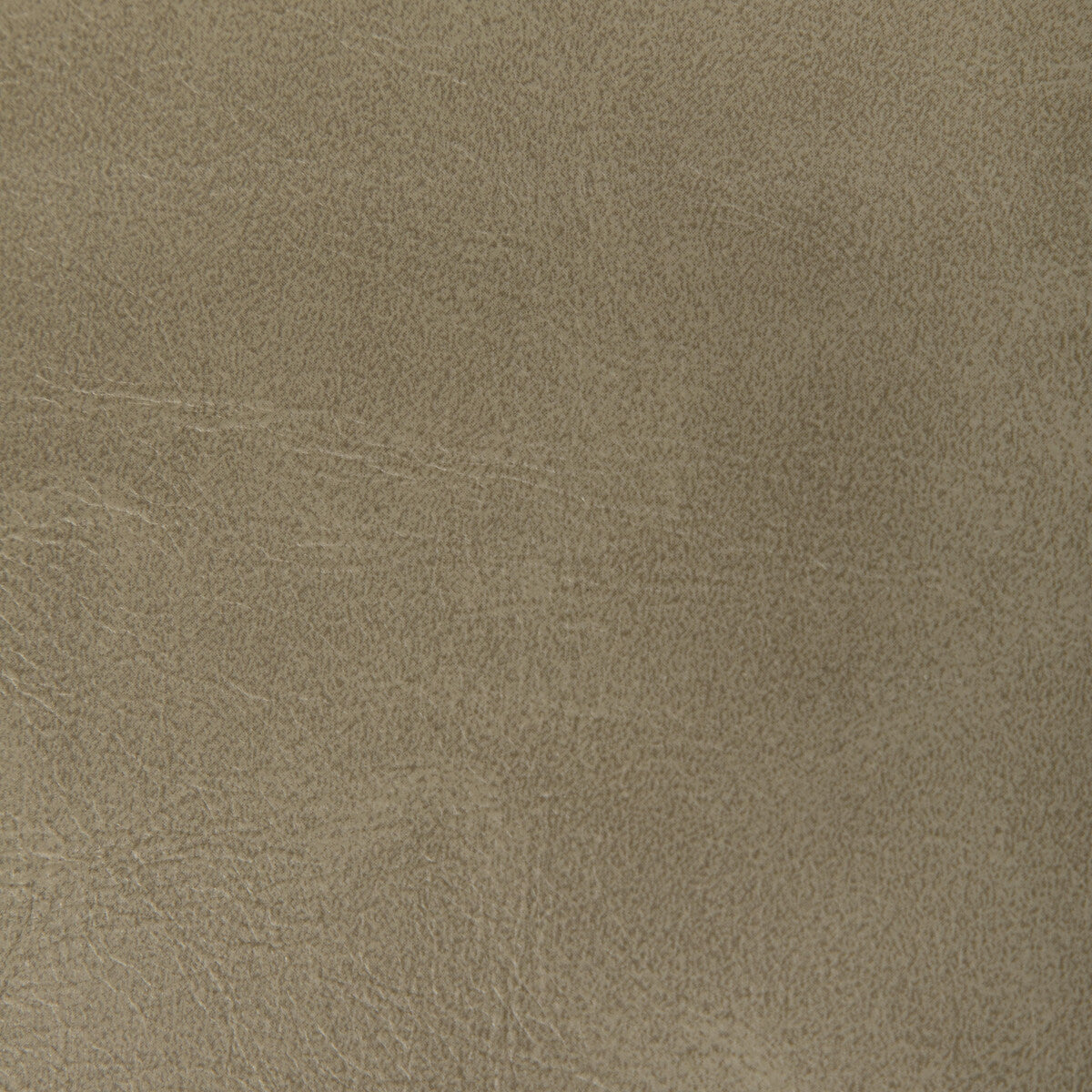 KRAVET CONTRACT RAMBLER.106.0 RAMBLER ANTLER Fabric - Eade's Wallpaper