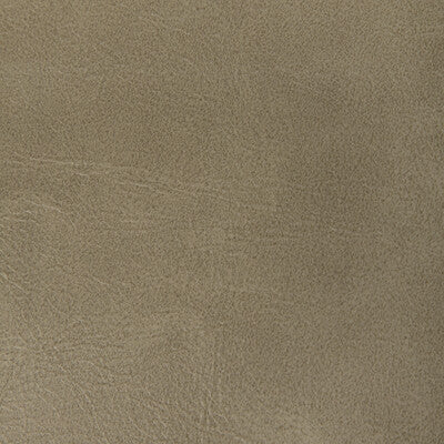 KRAVET CONTRACT RAMBLER.106.0 RAMBLER ANTLER Fabric - Eade's Wallpaper