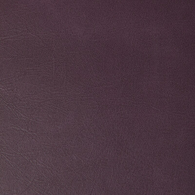 KRAVET CONTRACT RAMBLER.10.0 RAMBLER AUBERGINE Fabric - Eade's Wallpaper