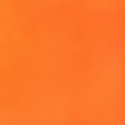 KRAVET CONTRACT RAMBLER.12.0 RAMBLER CASABA Fabric - Eade's Wallpaper