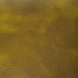 KRAVET CONTRACT RAMBLER.130.0 RAMBLER CACTUS Fabric - Eade's Wallpaper