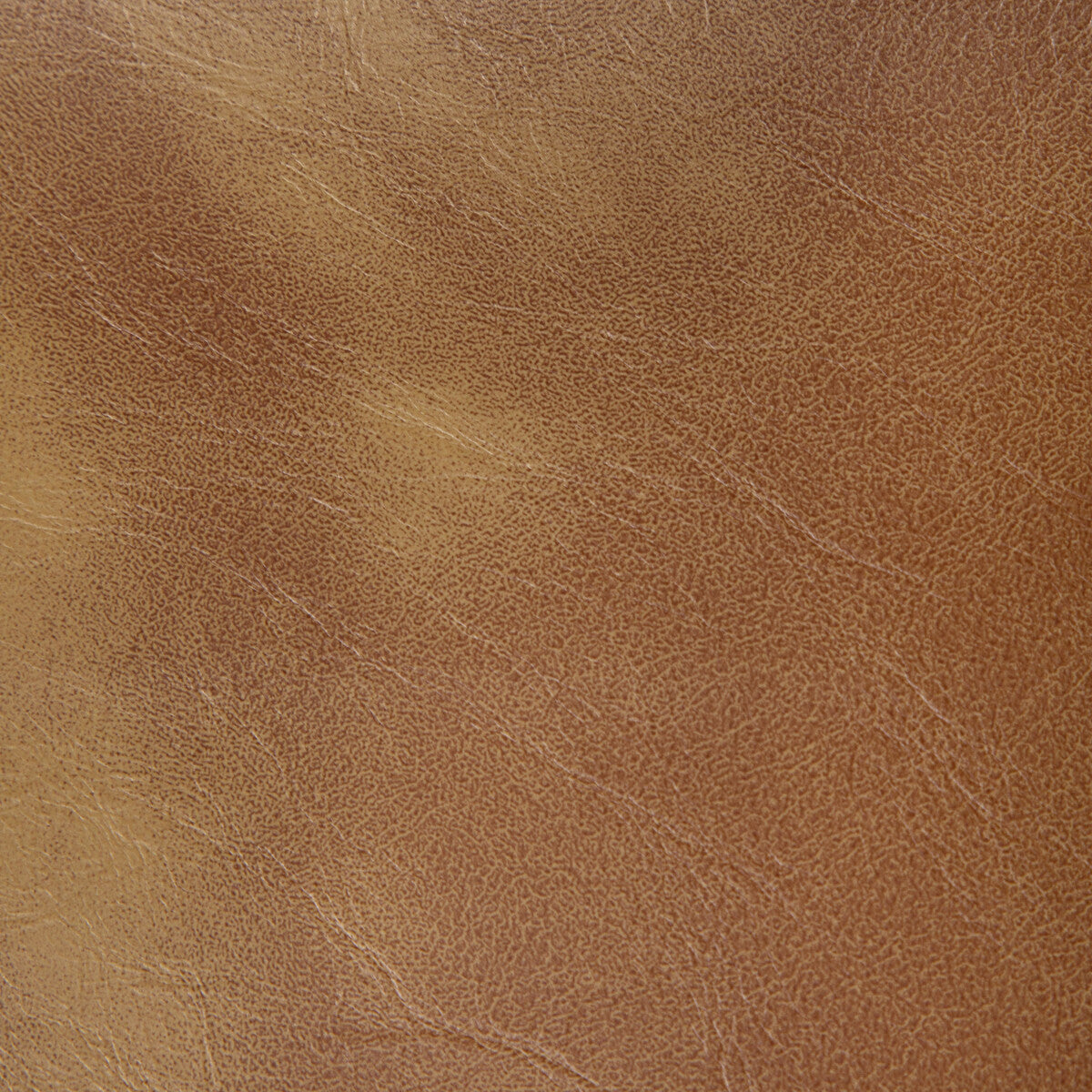 KRAVET CONTRACT RAMBLER.166.0 RAMBLER SADDLE Fabric - Eade's Wallpaper