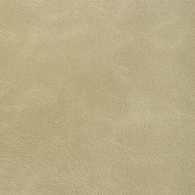 KRAVET CONTRACT RAMBLER.16.0 RAMBLER PRAIRIE Fabric - Eade's Wallpaper