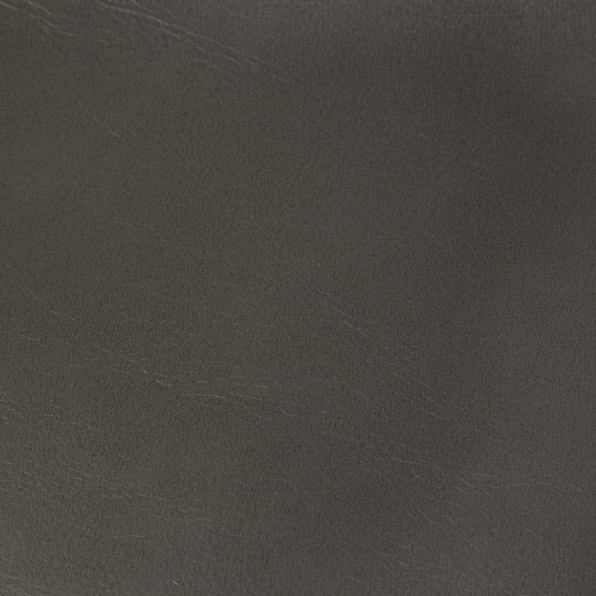 KRAVET CONTRACT RAMBLER.21.0 RAMBLER GUNMETAL Fabric - Eade's Wallpaper