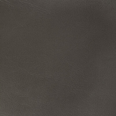 KRAVET CONTRACT RAMBLER.21.0 RAMBLER GUNMETAL Fabric - Eade's Wallpaper