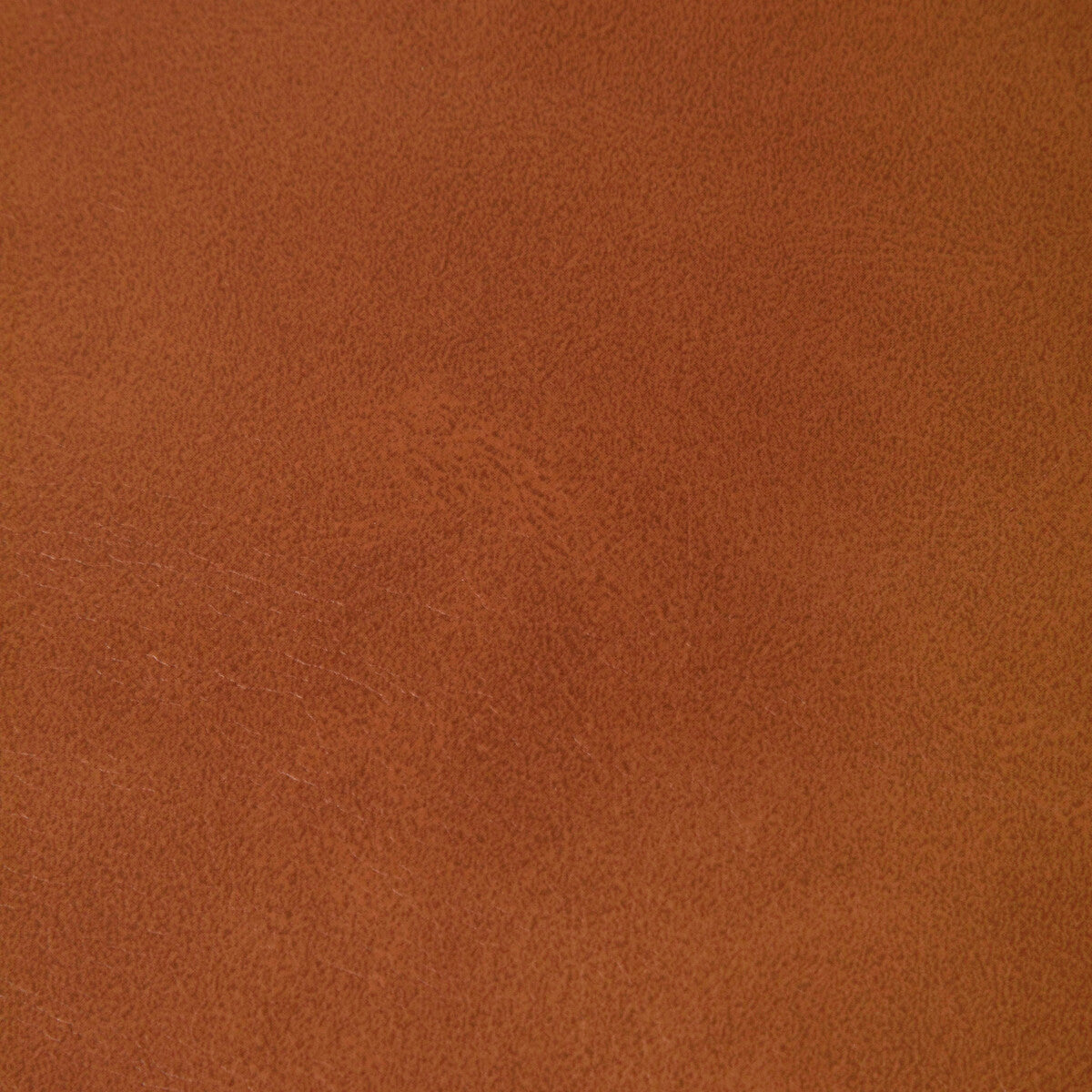 KRAVET CONTRACT RAMBLER.24.0 RAMBLER CANYON Fabric - Eade's Wallpaper