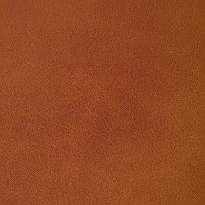 KRAVET CONTRACT RAMBLER.24.0 RAMBLER CANYON Fabric - Eade's Wallpaper
