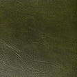KRAVET CONTRACT RAMBLER.3.0 RAMBLER VERDE Fabric - Eade's Wallpaper