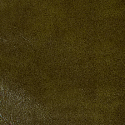 KRAVET CONTRACT RAMBLER.303.0 RAMBLER OLIVE BRANCH Fabric - Eade's Wallpaper
