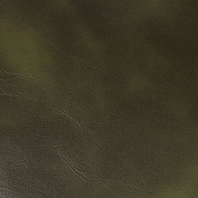 KRAVET CONTRACT RAMBLER.30.0 RAMBLER CLOVE Fabric - Eade's Wallpaper