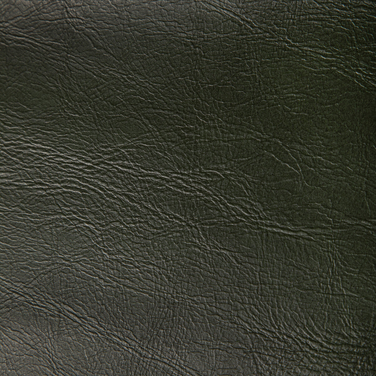 KRAVET CONTRACT RAMBLER.33.0 RAMBLER LODEN Fabric - Eade's Wallpaper
