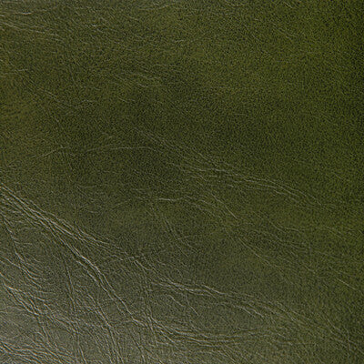KRAVET CONTRACT RAMBLER.3.0 RAMBLER VERDE Fabric - Eade's Wallpaper