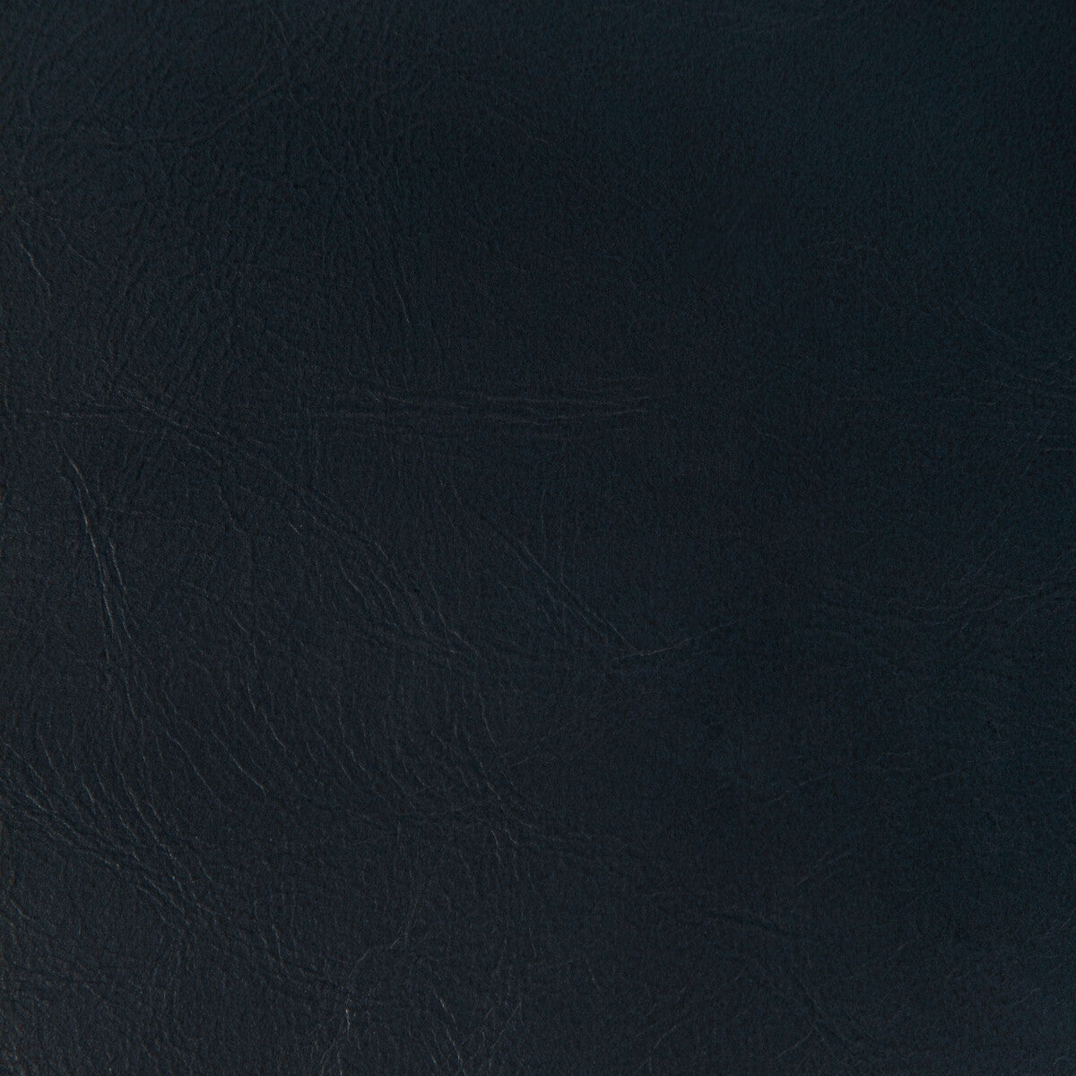 KRAVET CONTRACT RAMBLER.50.0 RAMBLER MIDNIGHT Fabric - Eade's Wallpaper
