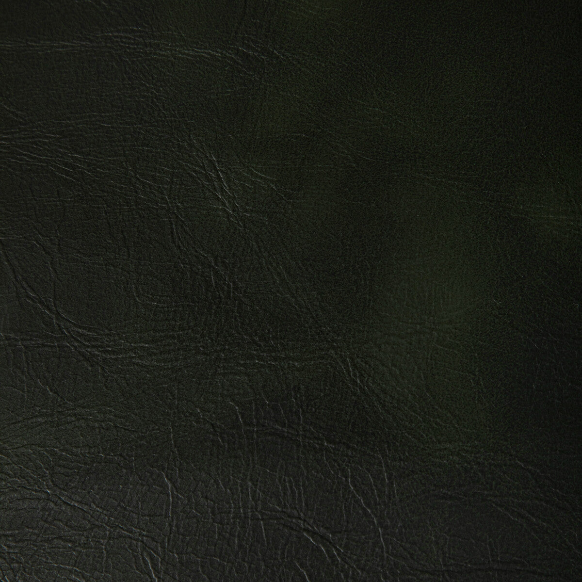 KRAVET CONTRACT RAMBLER.53.0 RAMBLER FOREST Fabric - Eade's Wallpaper