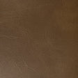 KRAVET CONTRACT RAMBLER.606.0 RAMBLER CHICORY Fabric - Eade's Wallpaper