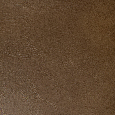 KRAVET CONTRACT RAMBLER.606.0 RAMBLER CHICORY Fabric - Eade's Wallpaper