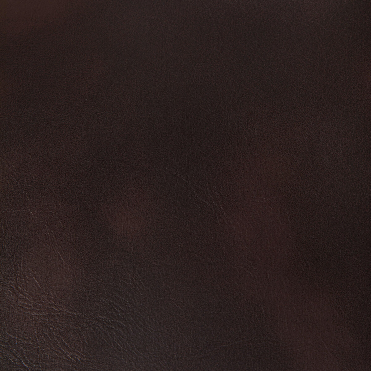 KRAVET CONTRACT RAMBLER.66.0 RAMBLER BRANDY Fabric - Eade's Wallpaper
