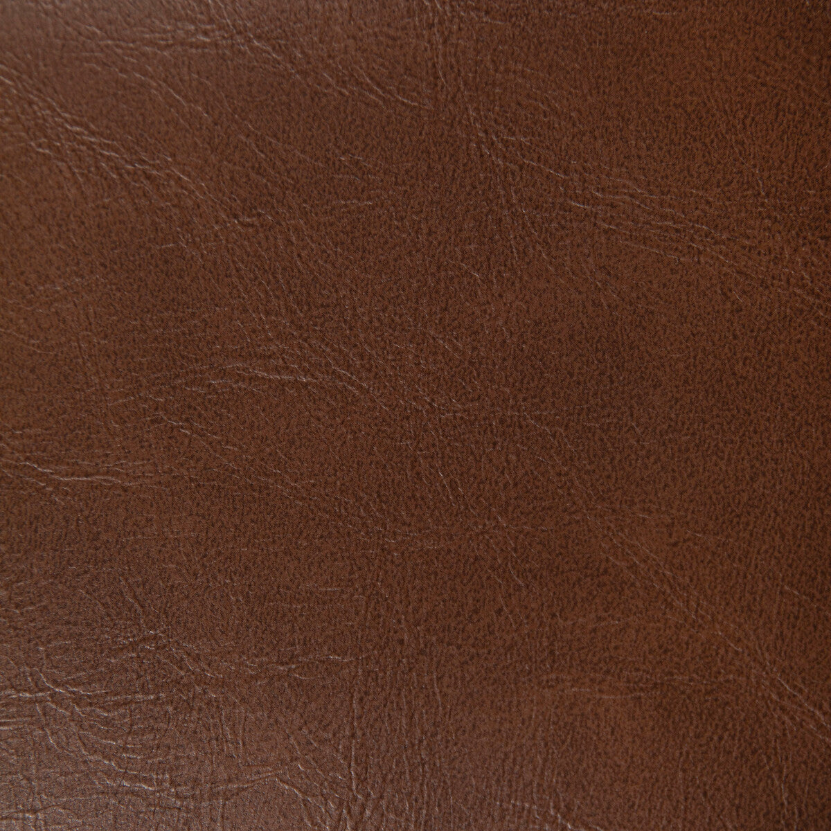 KRAVET CONTRACT RAMBLER.660.0 RAMBLER WALNUT Fabric - Eade's Wallpaper