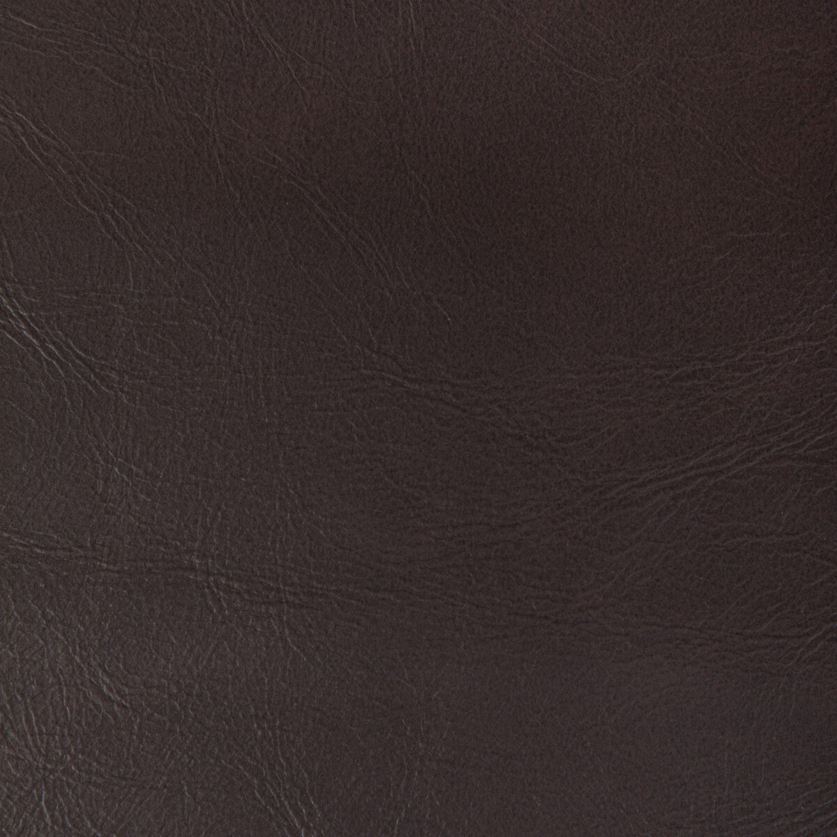 KRAVET CONTRACT RAMBLER.6666.0 RAMBLER BISON Fabric - Eade's Wallpaper