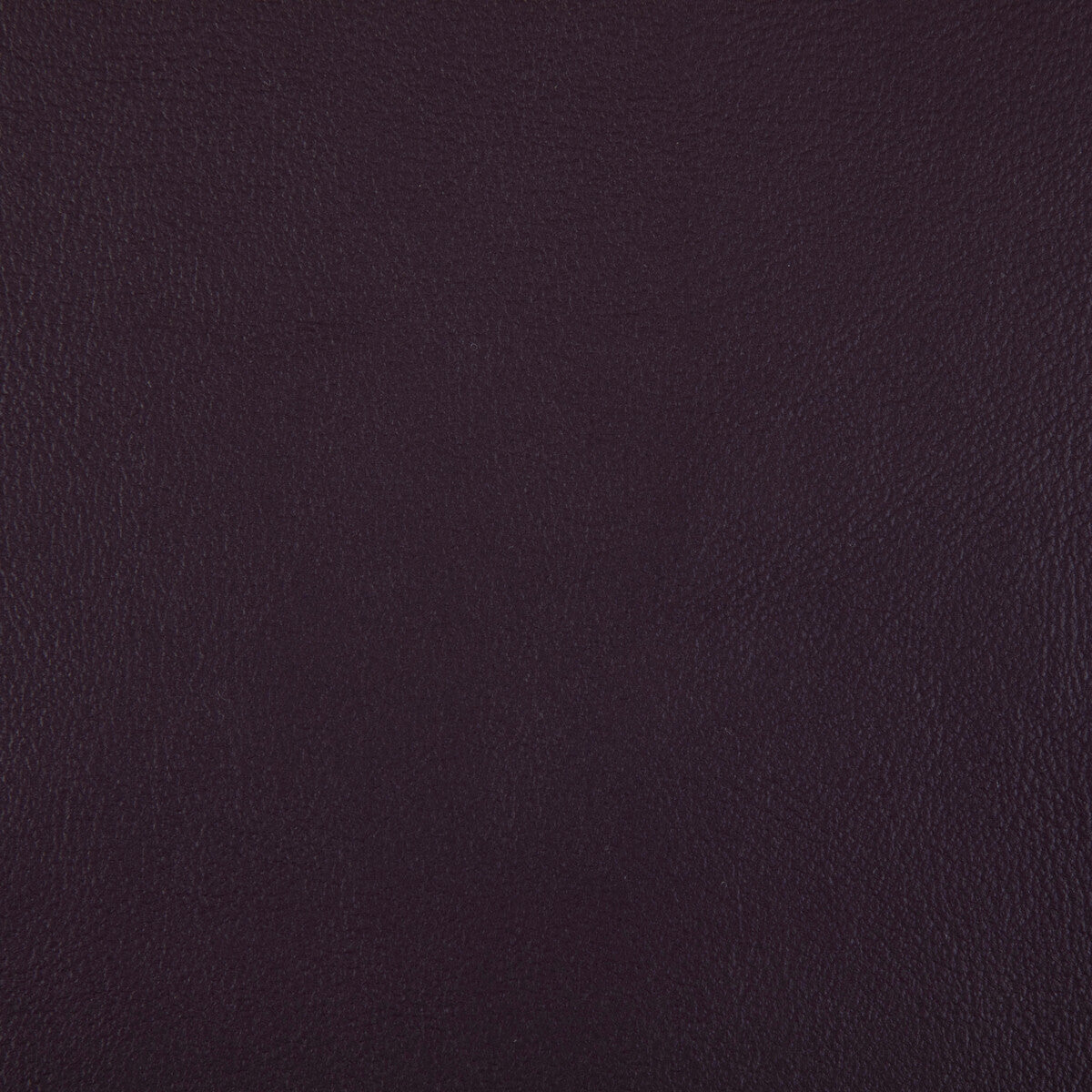 KRAVET CONTRACT RAND.10.0 RAND PLUM Fabric - Eade's Wallpaper