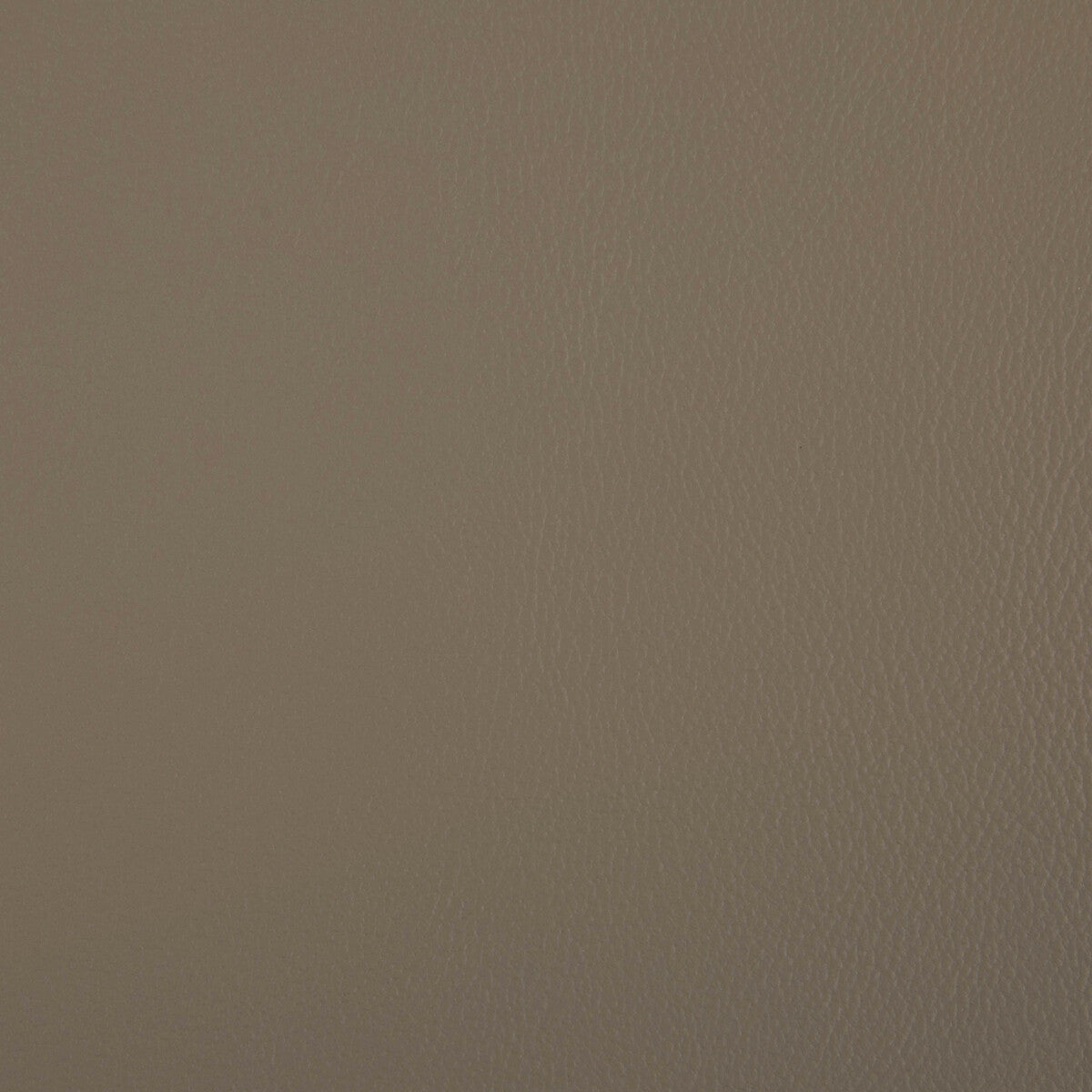 KRAVET CONTRACT RAND.106.0 RAND DUNE Fabric - Eade's Wallpaper