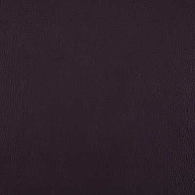 KRAVET CONTRACT RAND.10.0 RAND PLUM Fabric - Eade's Wallpaper