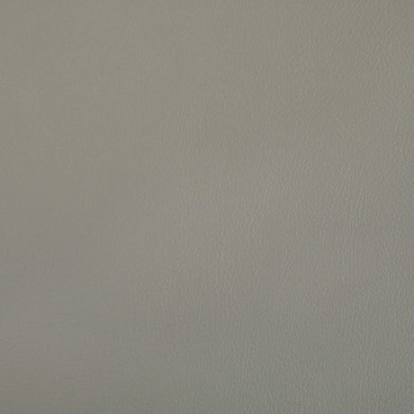 KRAVET CONTRACT RAND.11.0 RAND PORCINI Fabric - Eade's Wallpaper