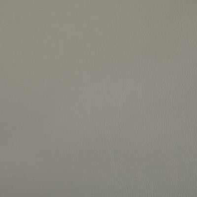 KRAVET CONTRACT RAND.11.0 RAND PORCINI Fabric - Eade's Wallpaper
