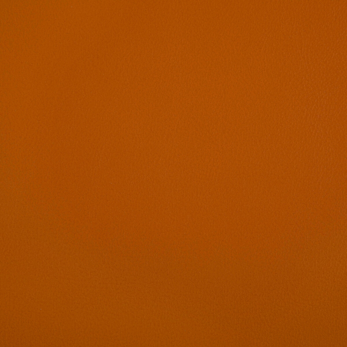 KRAVET CONTRACT RAND.12.0 RAND SQUASH Fabric - Eade's Wallpaper